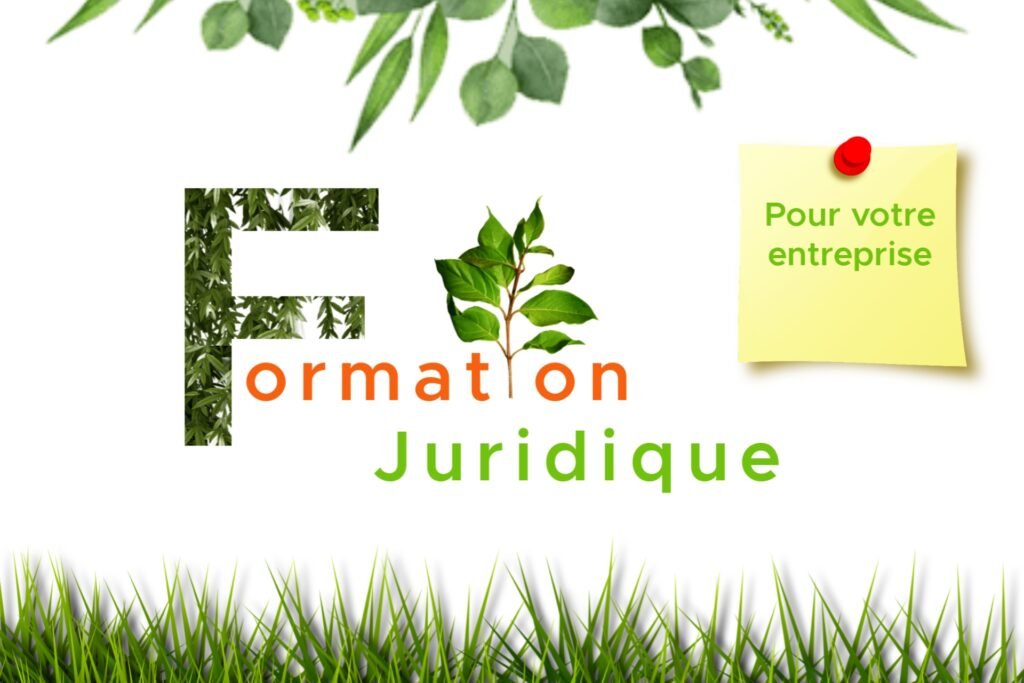 Formation juridique