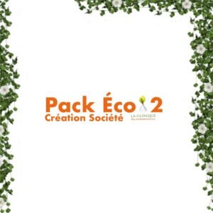 pack éco 2 création société