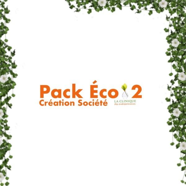 pack éco 2 création société