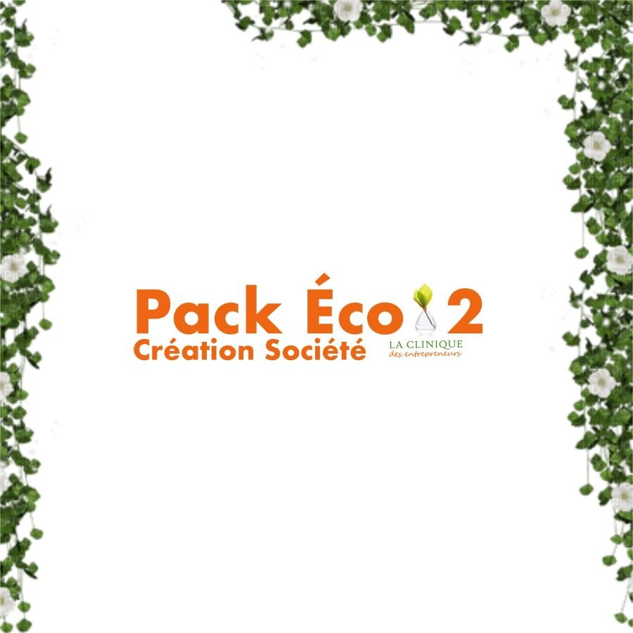 pack éco 2 création société