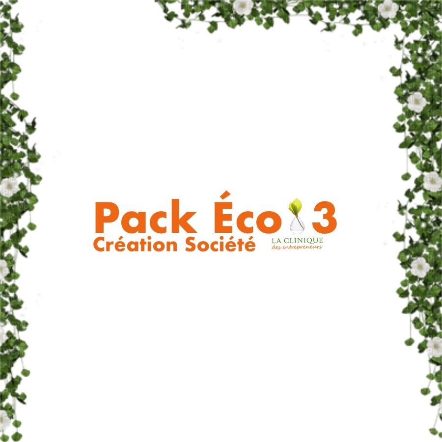 pack éco 3 création société