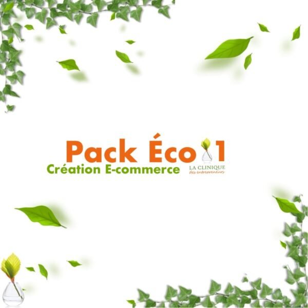 pack éco 1 création E-Commerce