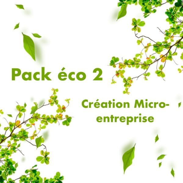 pack éco 2 création micro-entreprise