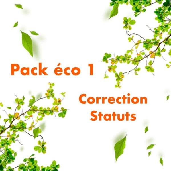 pack éco 1 correction statuts