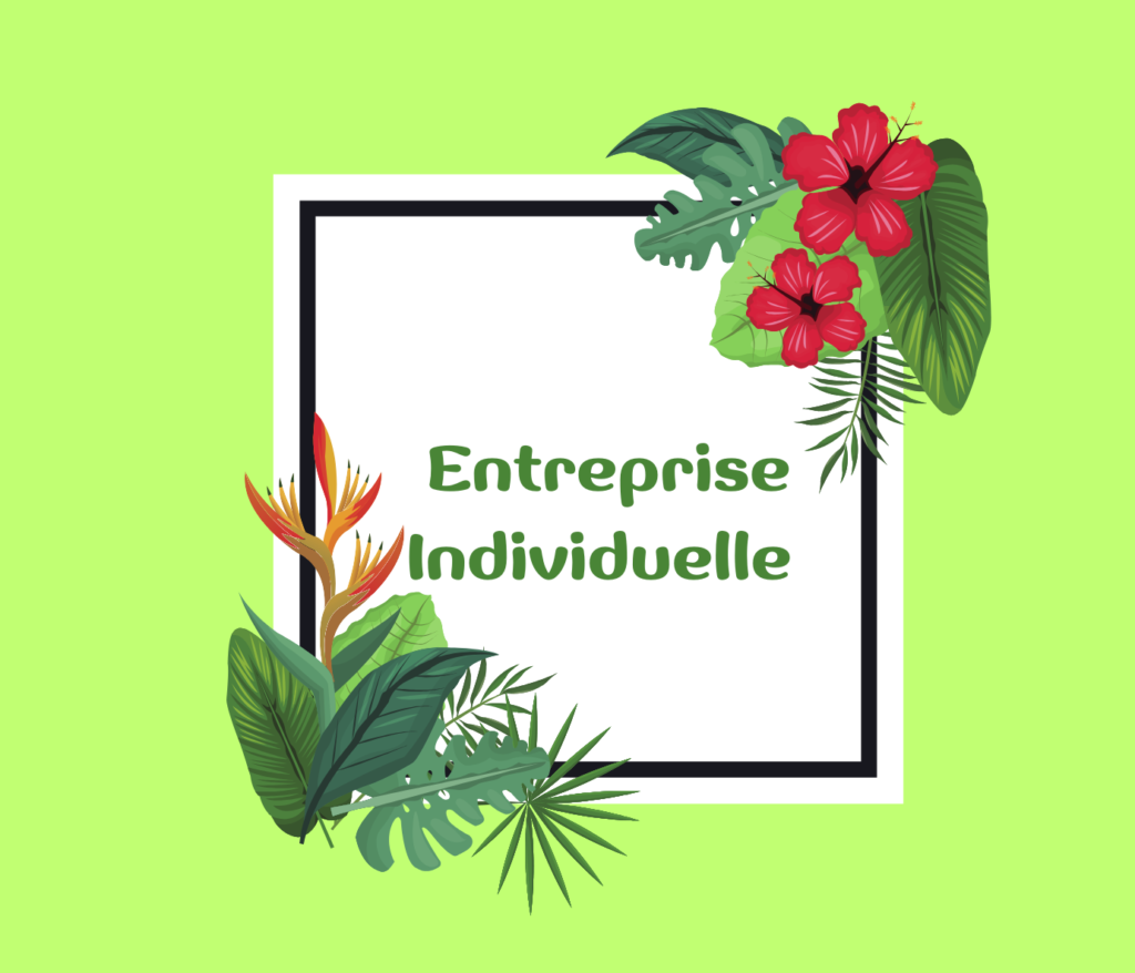 entreprise individuelle