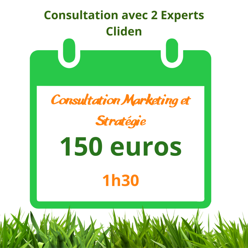 consultation strategie et marketing 1h30