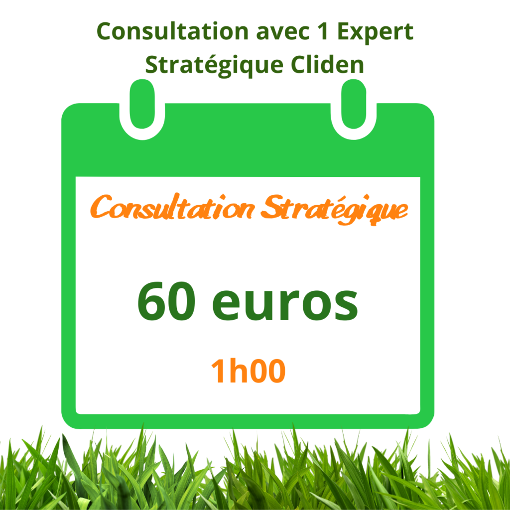 consultation stratégie 1h