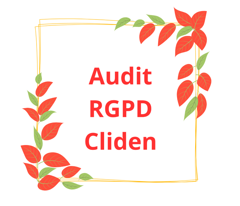 audit rgpd