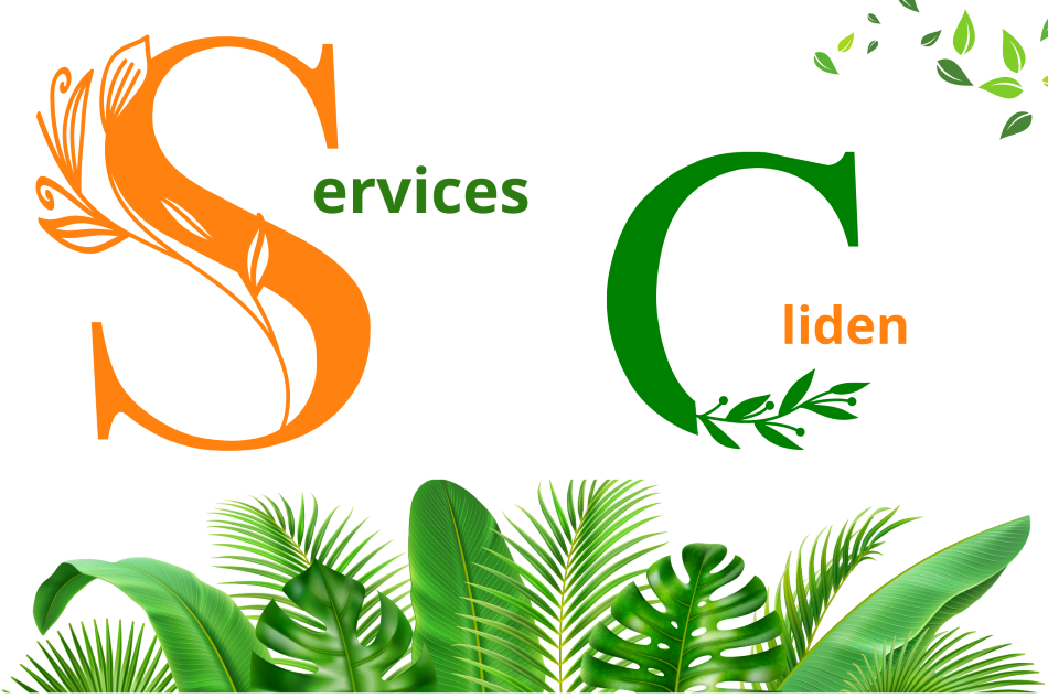 services cliden