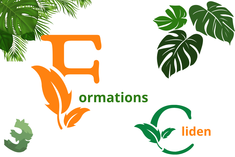 formations cliden