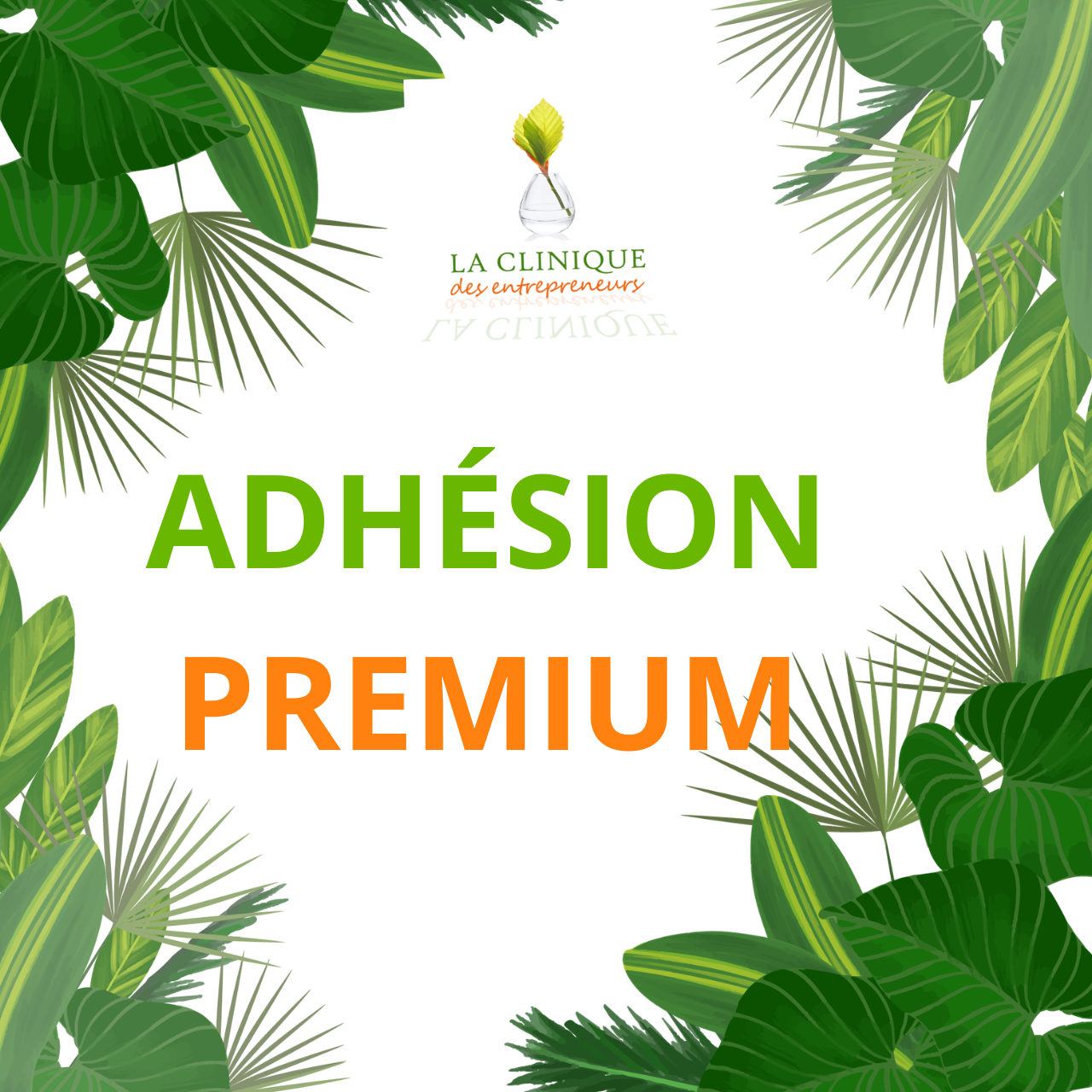 ADHÉSION CLIDEN PREMIUM