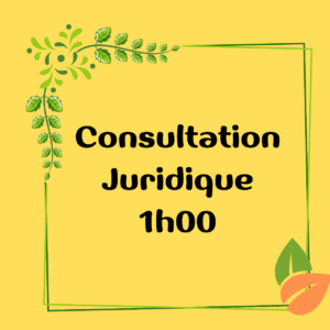 CONSULTATION JURIDIQUE 1h00