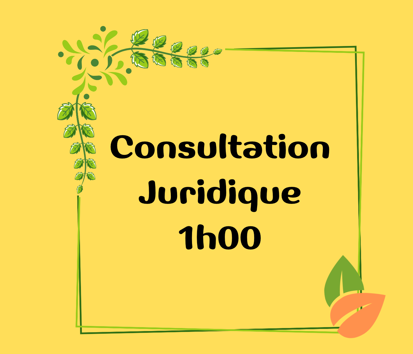 CONSULTATION JURIDIQUE 1h00