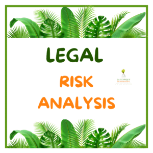 LEGAL RISK ANALYSIS
